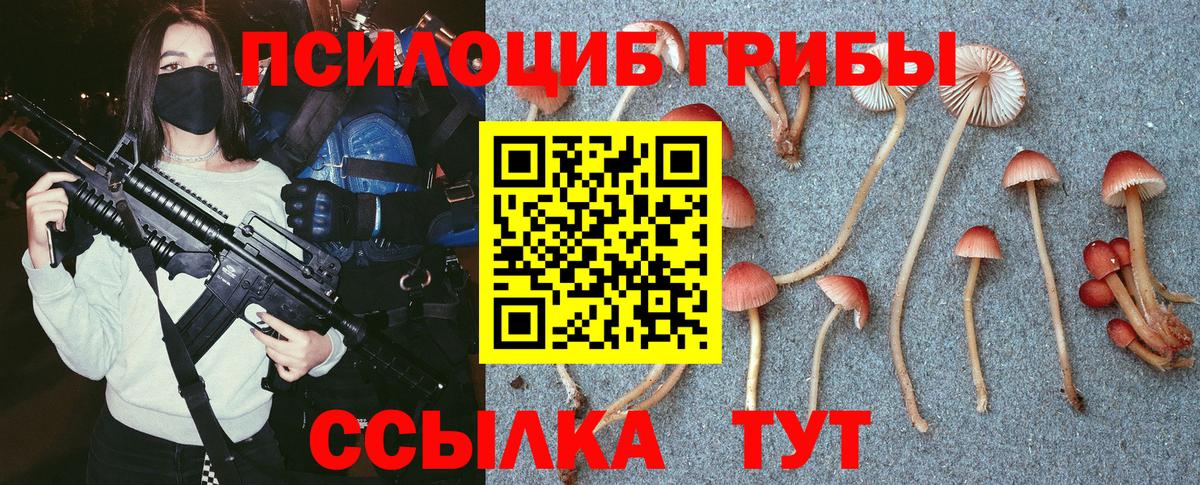 Галлюциногенные грибы ЛСД Видное