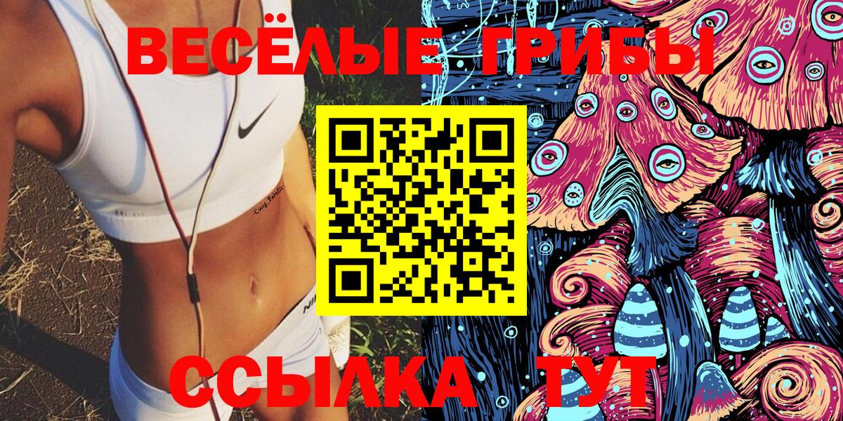 Псилоцибиновые грибы Psilocybine cubensis  Вход с VPN  Видное 